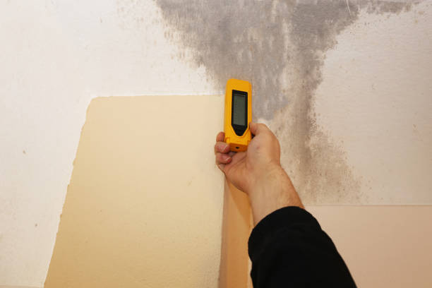 Best Emergency Mold Remediation  in Central, SC