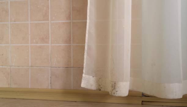 Best Dehumidification Services  in Central, SC