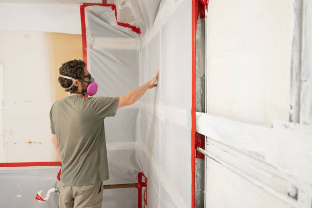 Best Asbestos and Lead Testing During Mold Inspection  in Central, SC