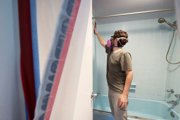Best Mold Removal for HVAC Installations  in Central, SC