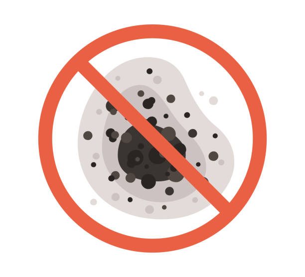 Best Forensic Mold Investigation  in Central, SC