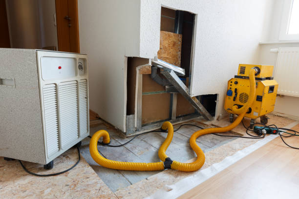 Best Real Estate Mold Inspection  in Central, SC